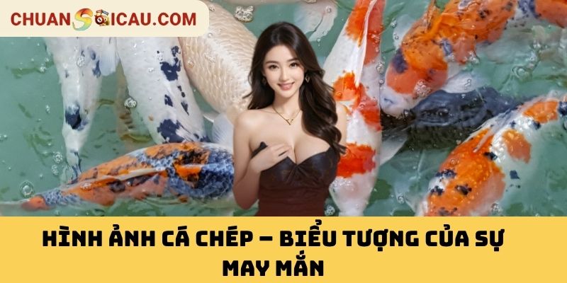 Hình Ảnh Cá Chép – Biểu Tượng Của Sự May Mắn
