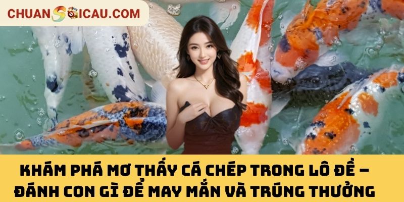 Khám Phá Mơ Thấy Cá Chép Trong Lô Đề – Đánh Con Gì Để May Mắn Và Trúng Thưởng Lớn?