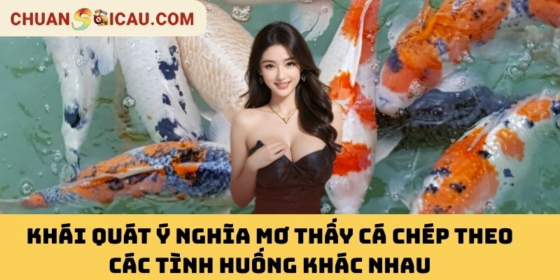 Khái Quát Ý Nghĩa Mơ Thấy Cá Chép Theo Các Tình Huống Khác Nhau