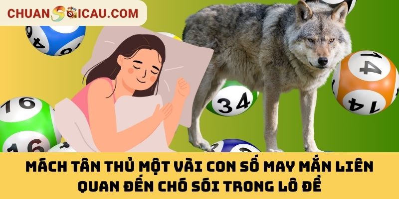 Mách Tân Thủ Một Vài Con Số May Mắn Liên Quan Đến Chó Sói Trong Lô Đề