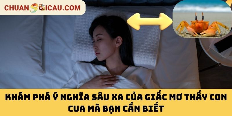Khám Phá Ý Nghĩa Sâu Xa Của Giấc Mơ Thấy Con Cua Mà Bạn Cần Biết