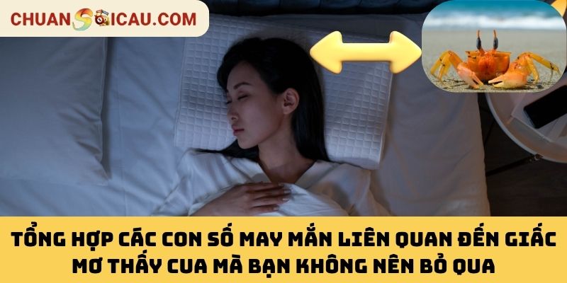 Tổng Hợp Các Con Số May Mắn Liên Quan Đến Giấc Mơ Thấy Cua Mà Bạn Không Nên Bỏ Qua