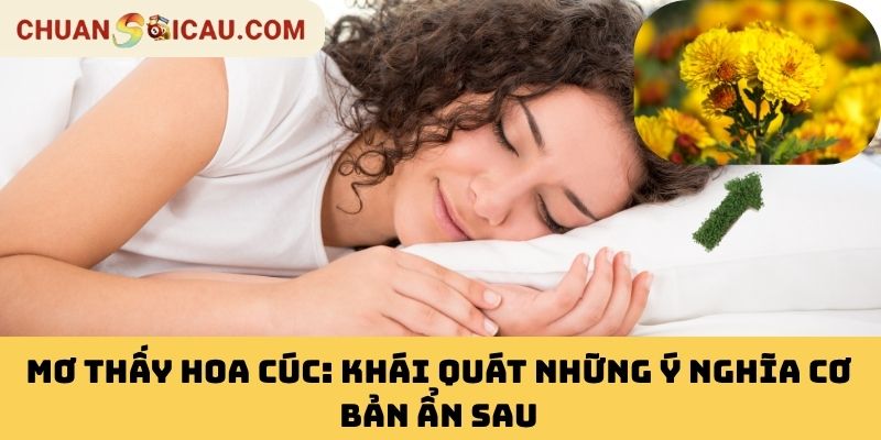 Mơ Thấy Hoa Cúc: Khái Quát Những Ý Nghĩa Cơ Bản Ẩn Sau