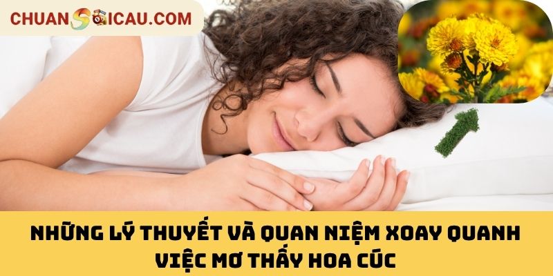 Những Lý Thuyết Và Quan Niệm Xoay Quanh Việc Mơ Thấy Hoa Cúc