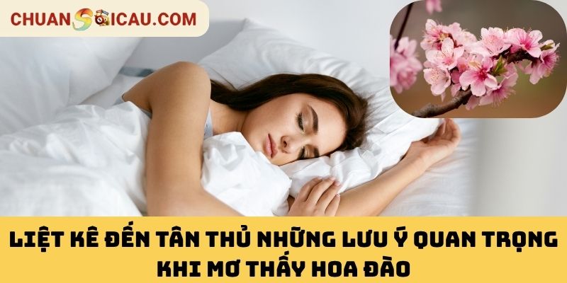 Liệt Kê Đến Tân Thủ Những Lưu Ý Quan Trọng Khi Mơ Thấy Hoa Đào
