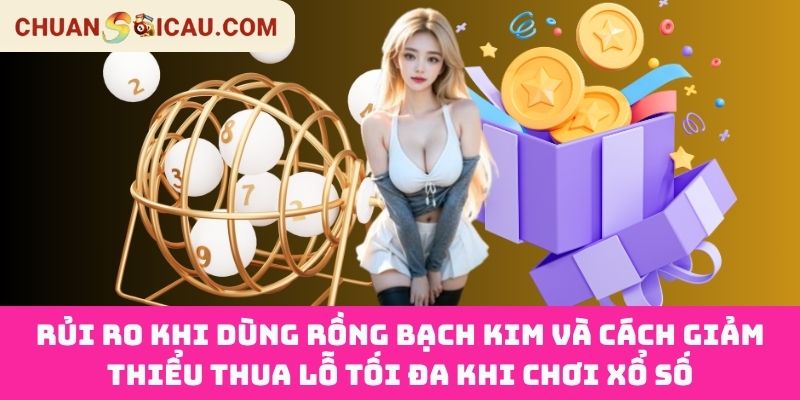 Rủi Ro Khi Dùng Rồng Bạch Kim Và Cách Giảm Thiểu Thua Lỗ Tối Đa Khi Chơi Xổ Số