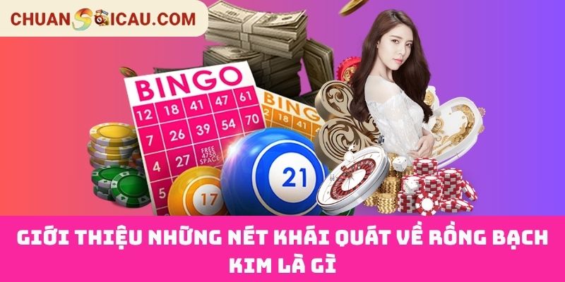 Giới Thiệu Những Nét Khái Quát Về Rồng Bạch Kim Là Gì