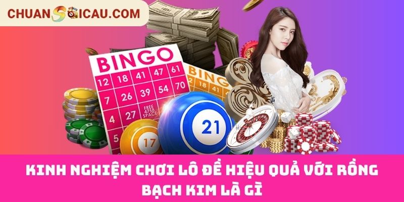 Kinh Nghiệm Chơi Lô Đề Hiệu Quả Với Rồng Bạch Kim Là Gì