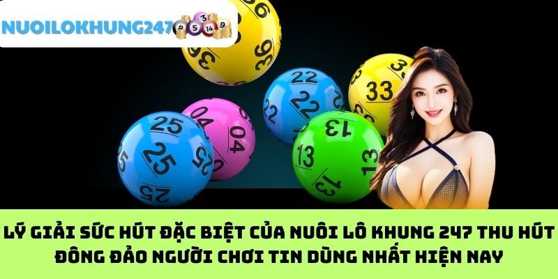 Lý giải sức hút đặc biệt của nuôi lô khung 247 thu hút đông đảo người chơi tin dùng nhất hiện nay
