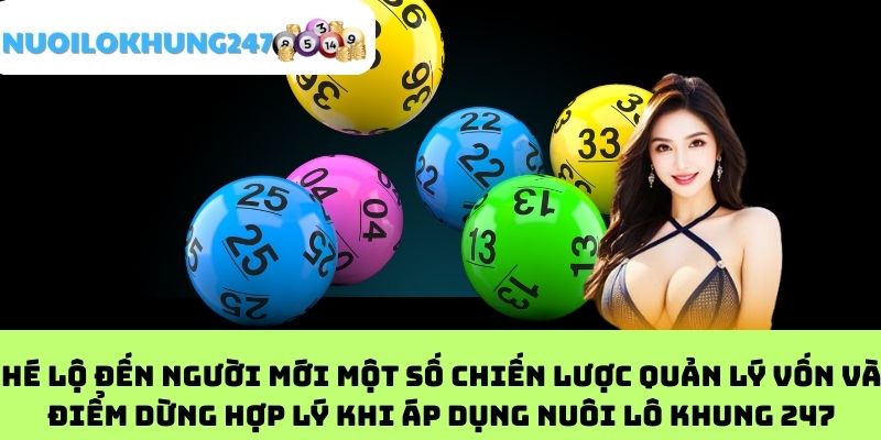 Hé lộ đến người mới một số chiến lược quản lý vốn và điểm dừng hợp lý khi áp dụng nuôi lô khung 247