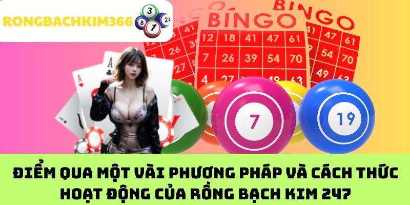 Điểm qua một vài phương pháp và cách thức hoạt động của Rồng Bạch Kim 247