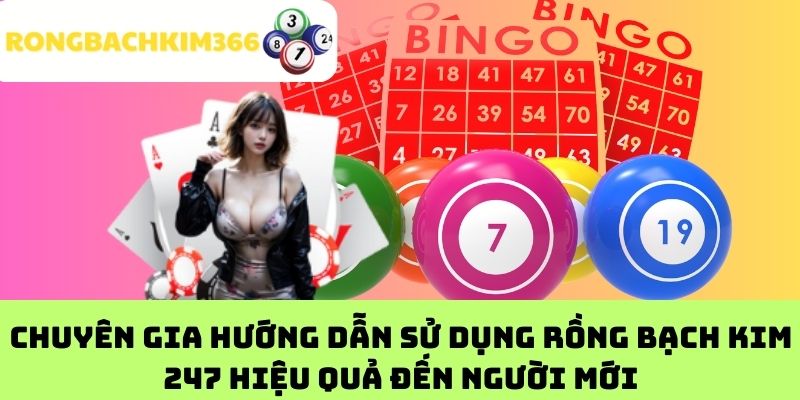 Chuyên gia hướng dẫn sử dụng Rồng Bạch Kim 247 hiệu quả đến người mới