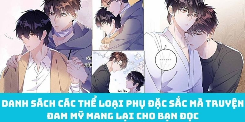 Thể loại phụ đặc sắc của truyện đam mỹ