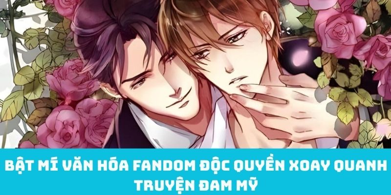 Bật mí văn hóa fandom độc quyền xoay quanh truyện đam mỹ